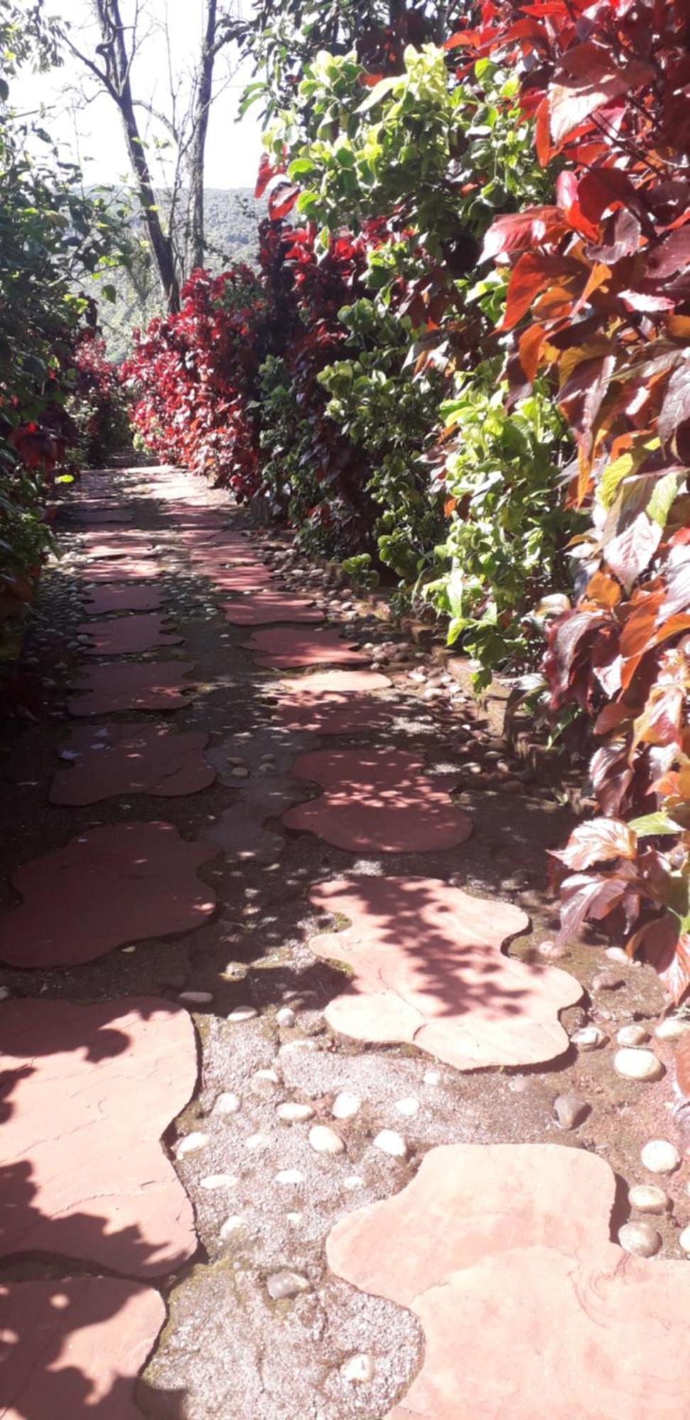 Villa Strawberry Country Mahābaleshwar Zimmer foto